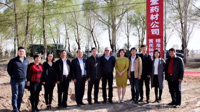 北京盛世龙精准扶贫，共建黄芪种植基地