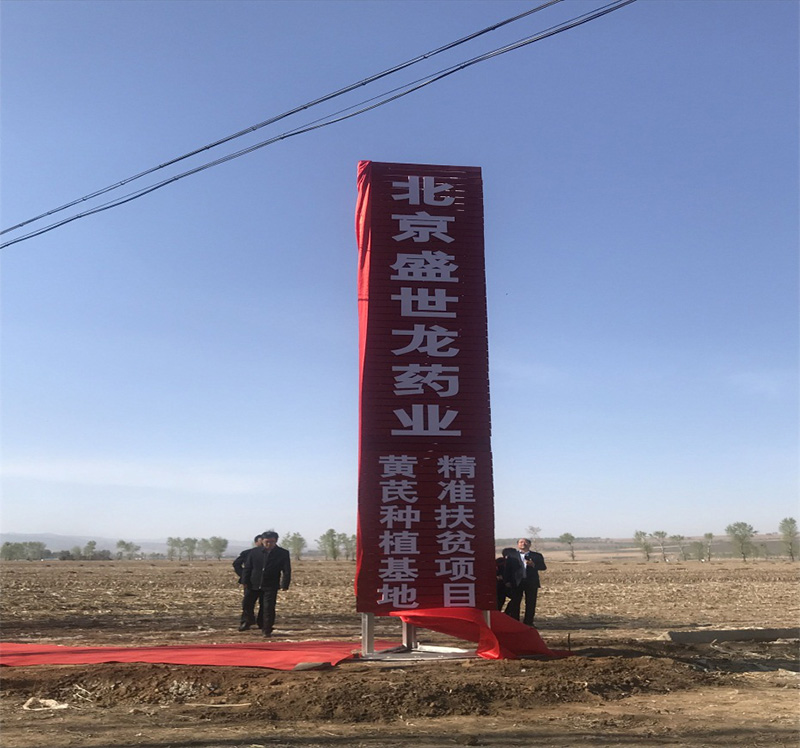 北京盛世龙精准扶贫，共建黄芪种植基地
