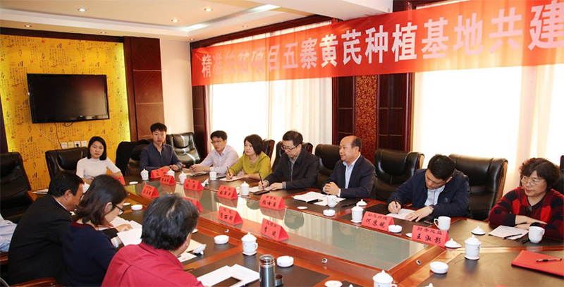 北京盛世龙精准扶贫，共建黄芪种植基地