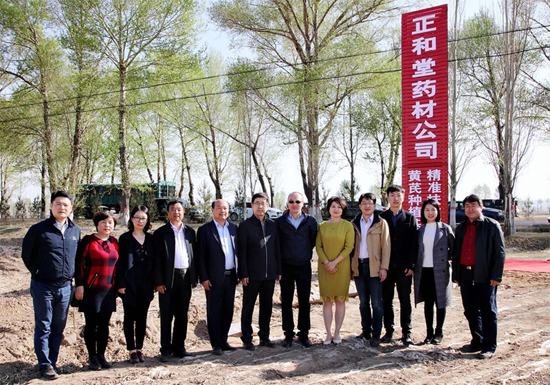 北京盛世龙精准扶贫，共建黄芪种植基地