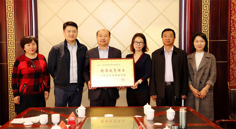 北京盛世龙精准扶贫，共建黄芪种植基地